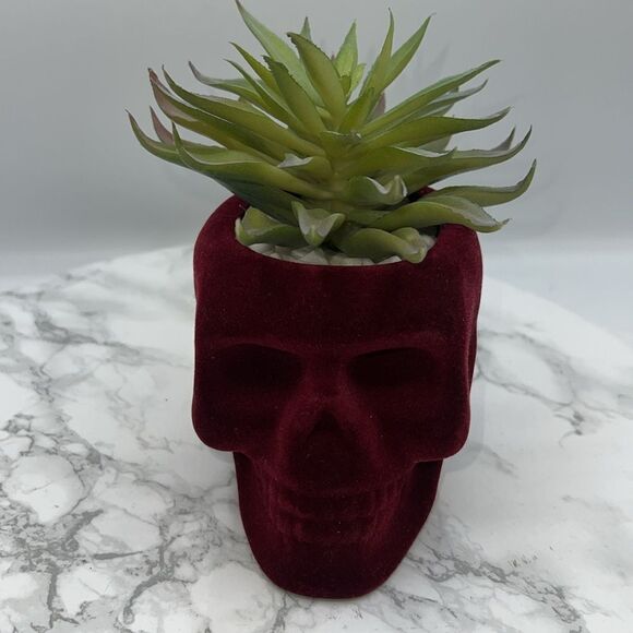 FLORA BUNDA Flocked Velvet Skull Planter with Artificial Succulent - Picture 3 of 7